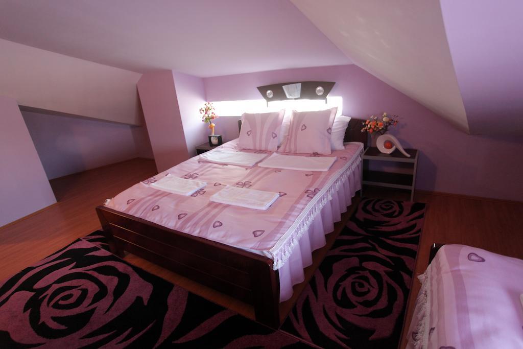 Villa Atina Stara Pazova Pokoj fotografie