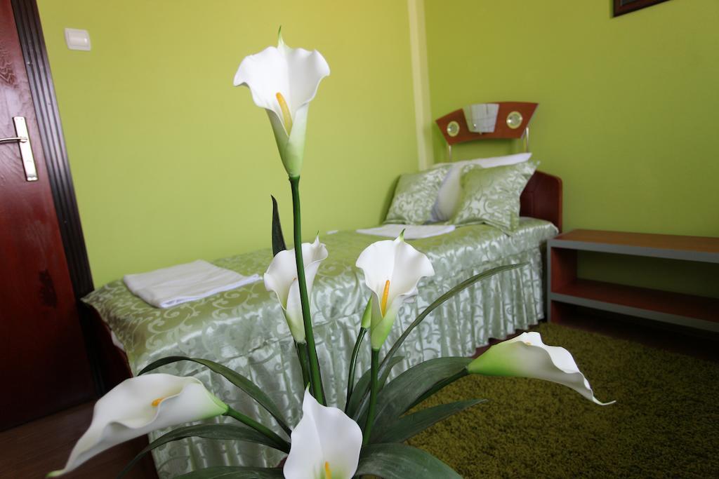 Villa Atina Stara Pazova Pokoj fotografie